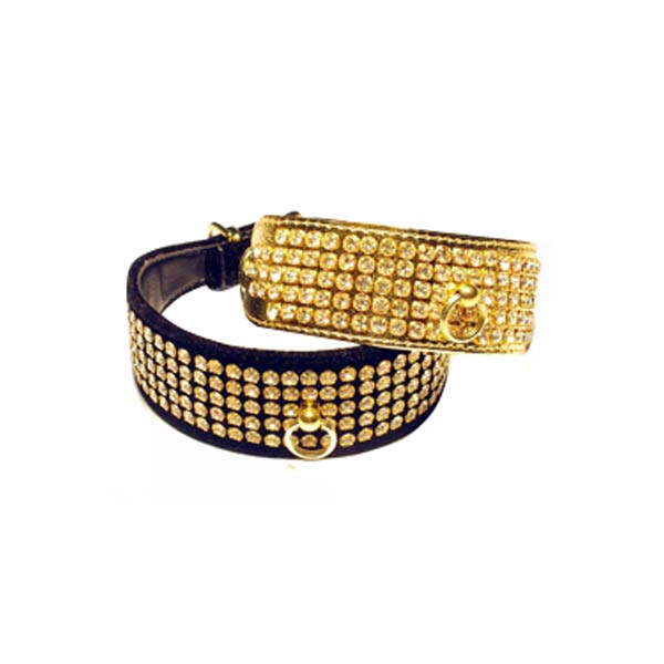 Dog Collars