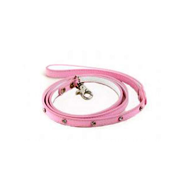 Dog Leads