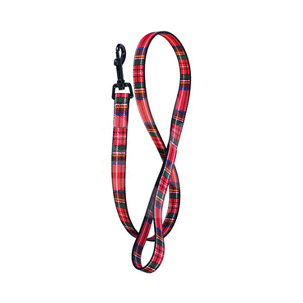 Dog Leads