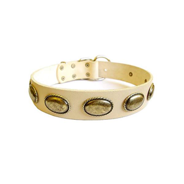 Dog Collars