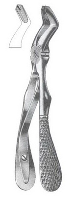Upper molars