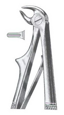 Lower roots